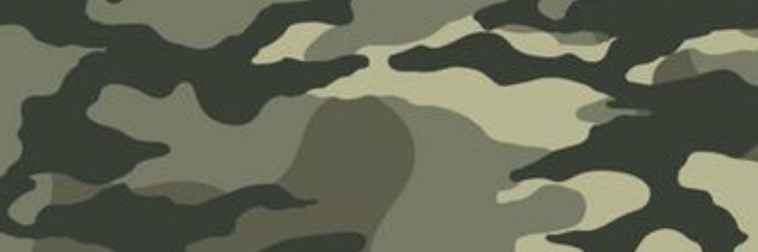 chisitopan's profile banner image