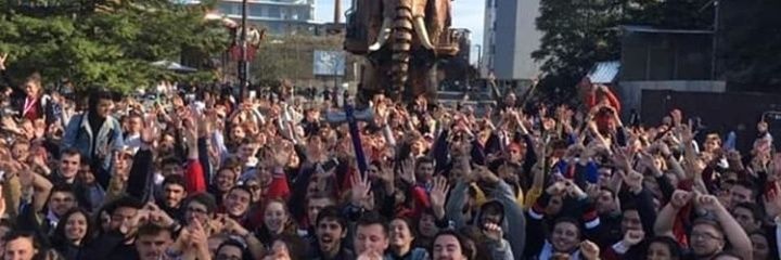 Malodarcel's profile banner image