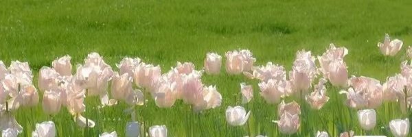 フードロス削減・お得情報・応援 banner