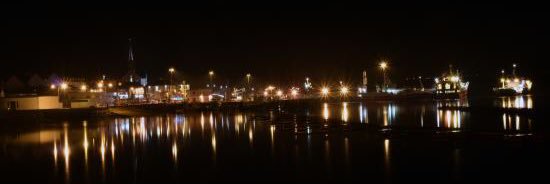 tracy mcguinness banner