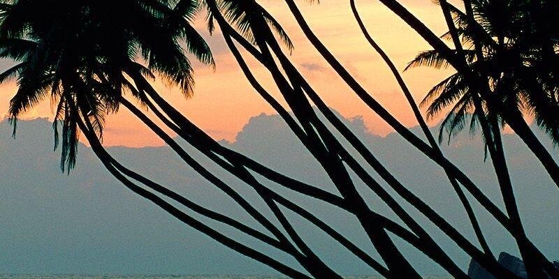 IngaCasey88's profile banner image