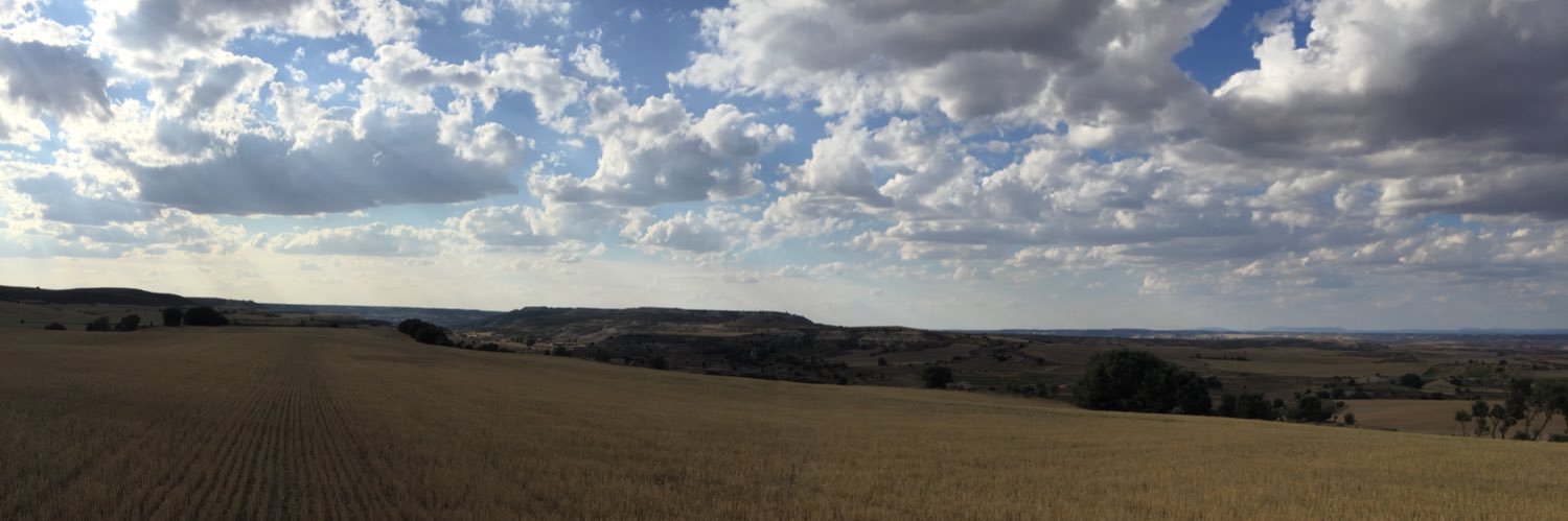 Jose Manuel Amor banner