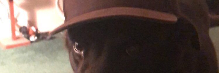 devdmn24's profile banner image