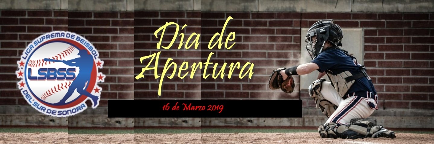 Liga Suprema banner