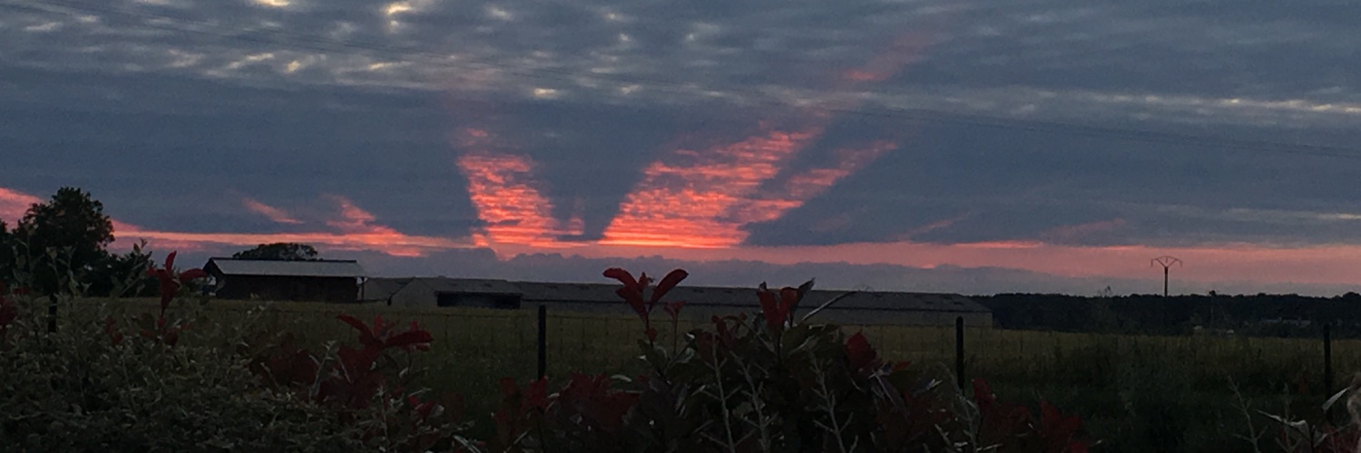 Alexandra Murray banner