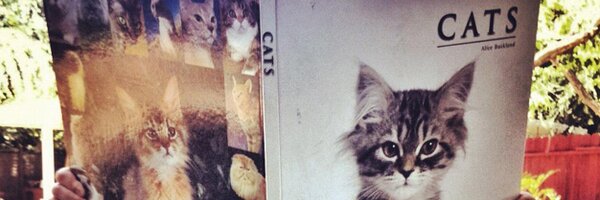 timmykendall Profile Banner