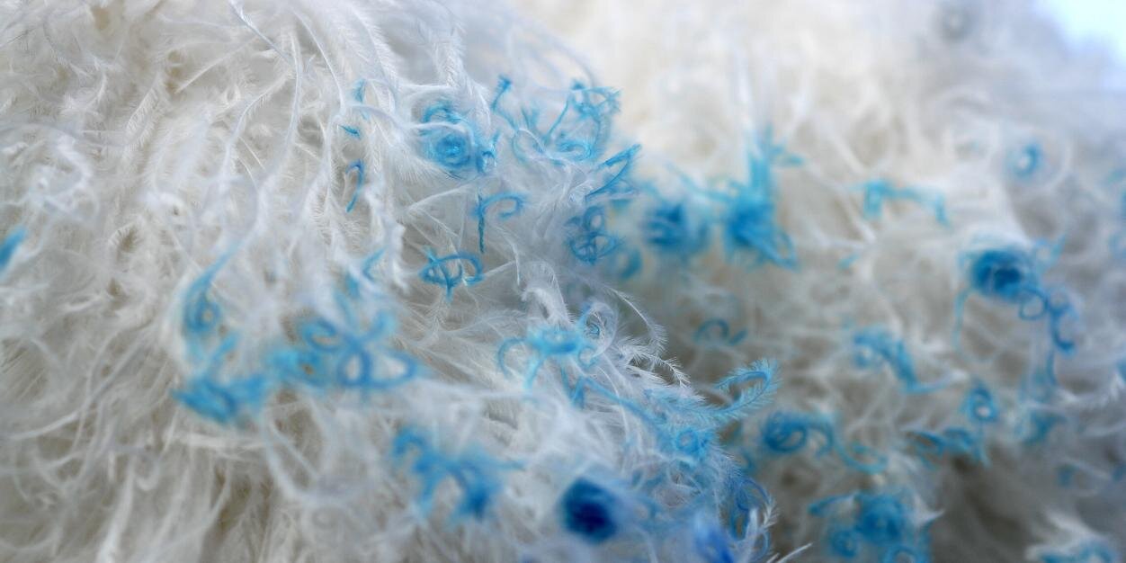 Actu du Carnaval banner