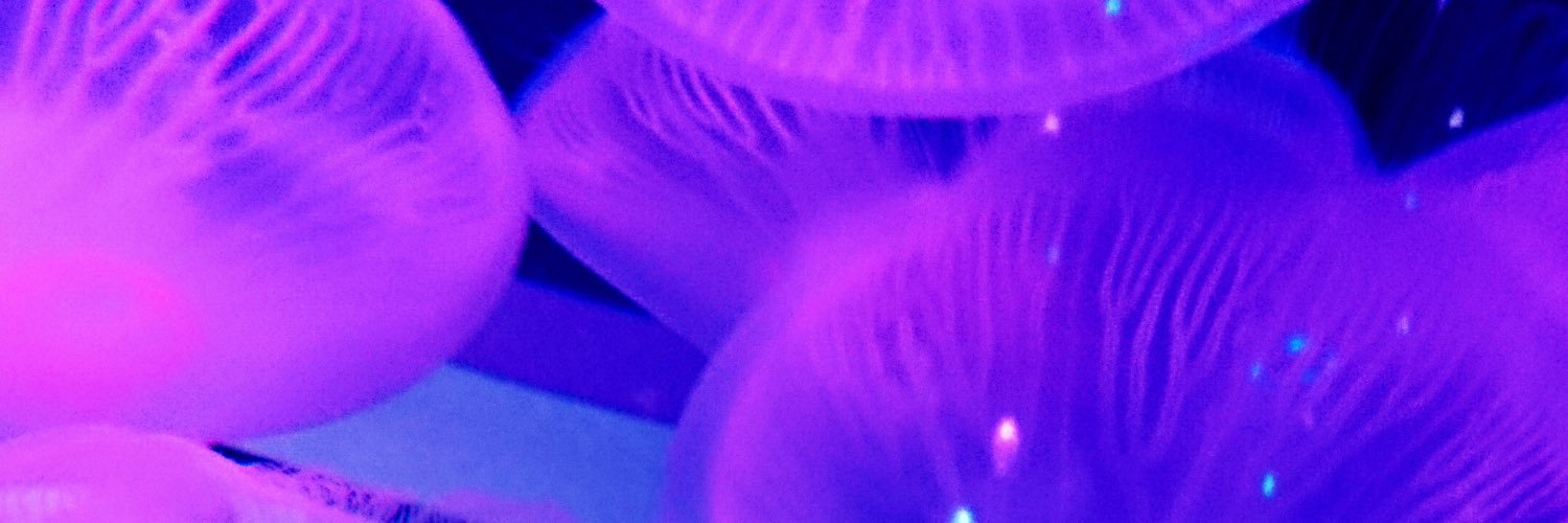 y_32619's profile banner image
