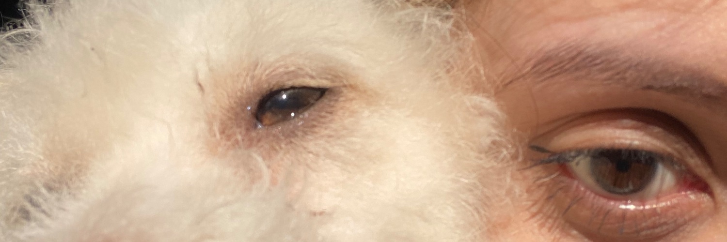 sofi ✮ banner