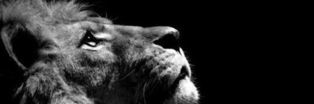 Susindhran3's profile banner image