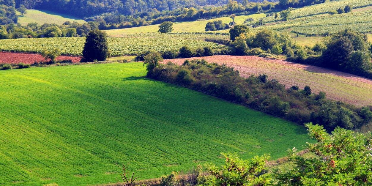 Felpersham Cathedral banner
