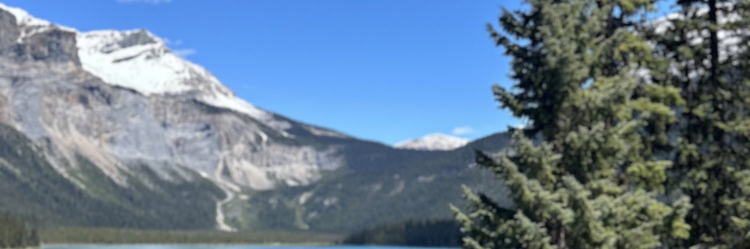 zazinhad's profile banner image