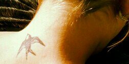 didi_1609's profile banner image