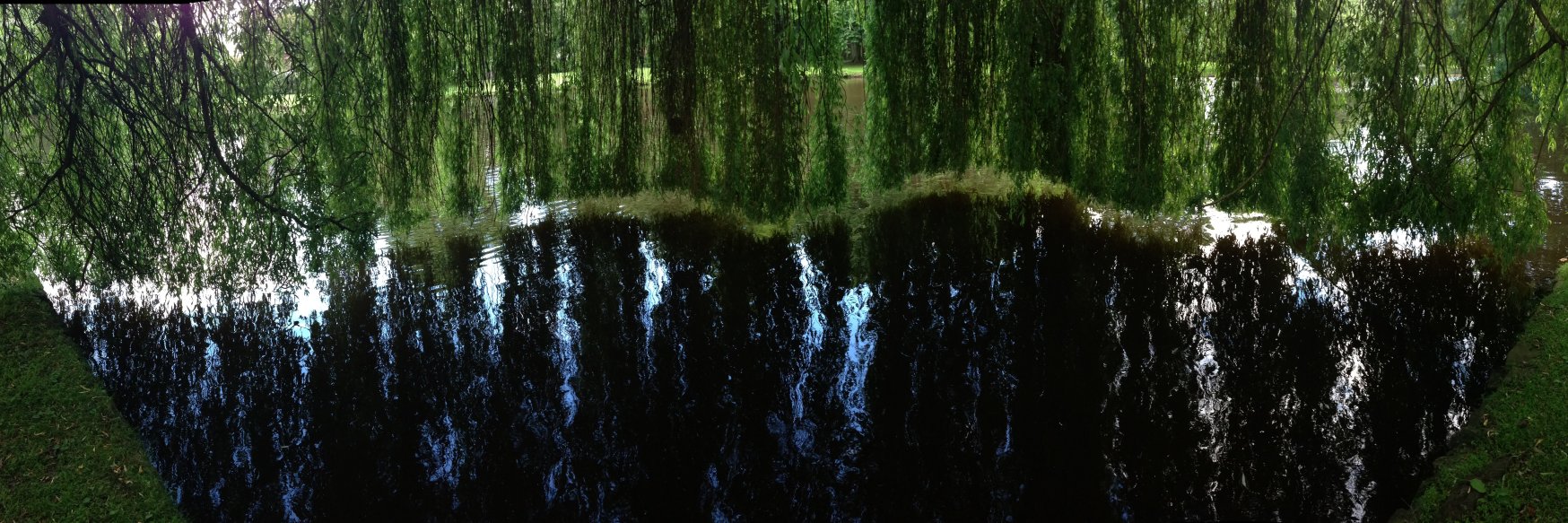 Alexandre Chabot banner