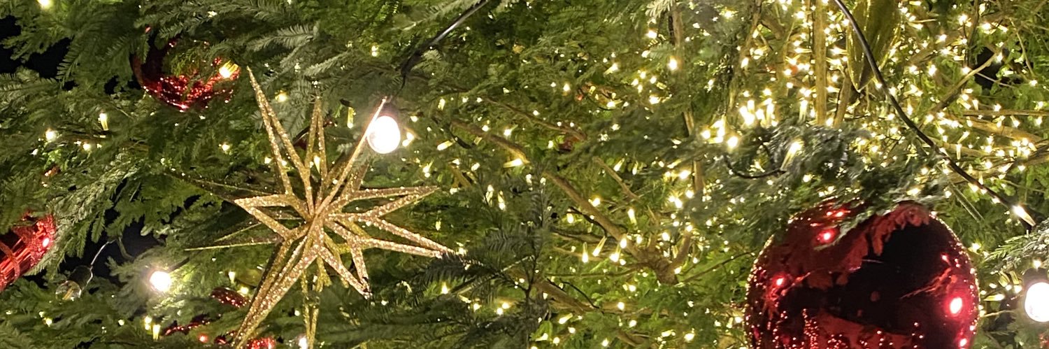𝚗𝚊𝚎 banner