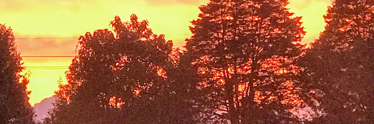 charlesquade's profile banner image