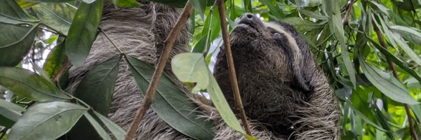 soymaucr Profile Banner