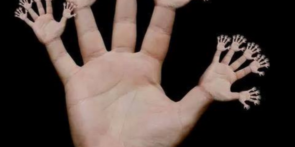WikiaFrog's profile banner image