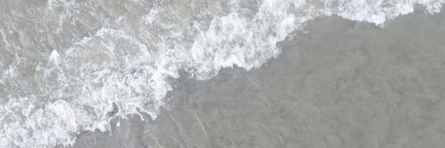 Reinaroja93's profile banner image