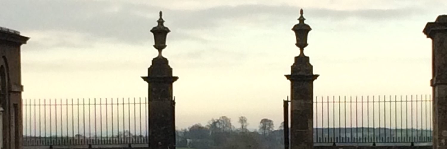 Prof Ruth Newbury-Ecob banner