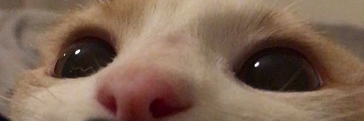 realllll_thit's profile banner image