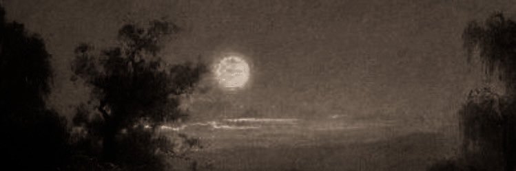 TintOfGold's profile banner image