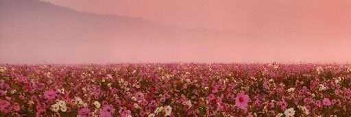 Aroa2102's profile banner image
