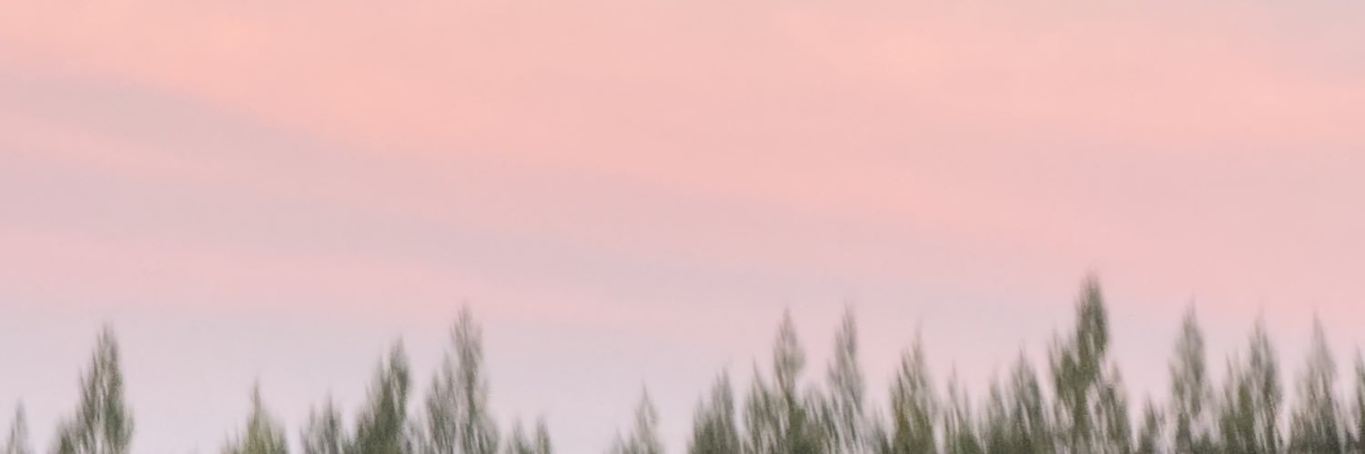 Piikee *☻ banner
