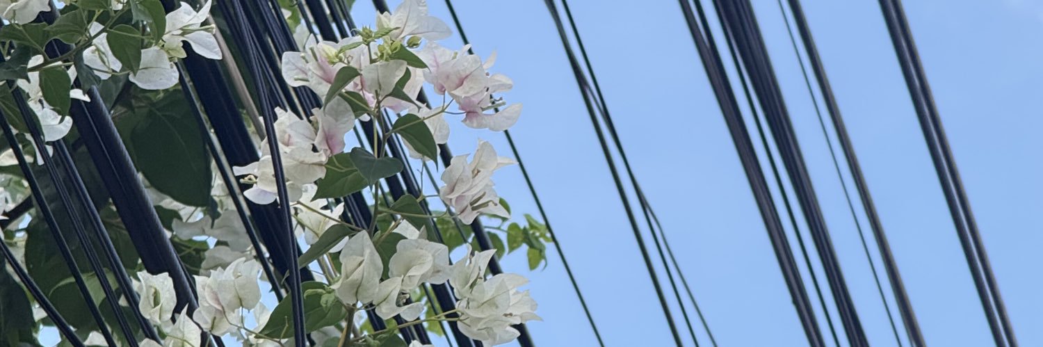 pickyap's profile banner image