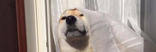Sir__Random's profile banner image