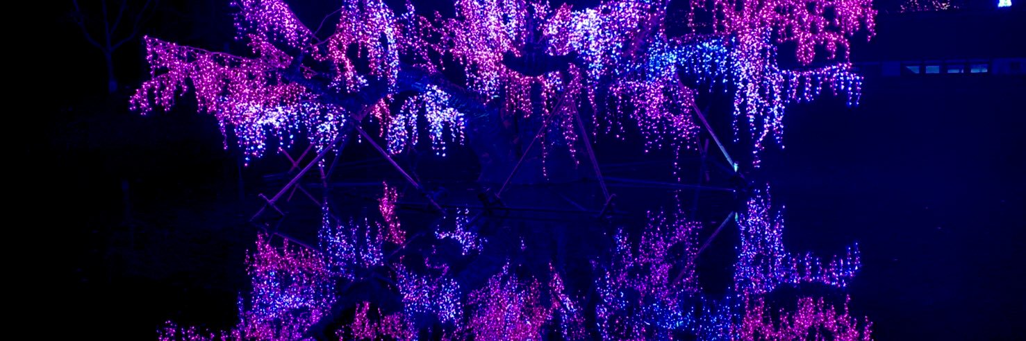 kanda11011101's profile banner image