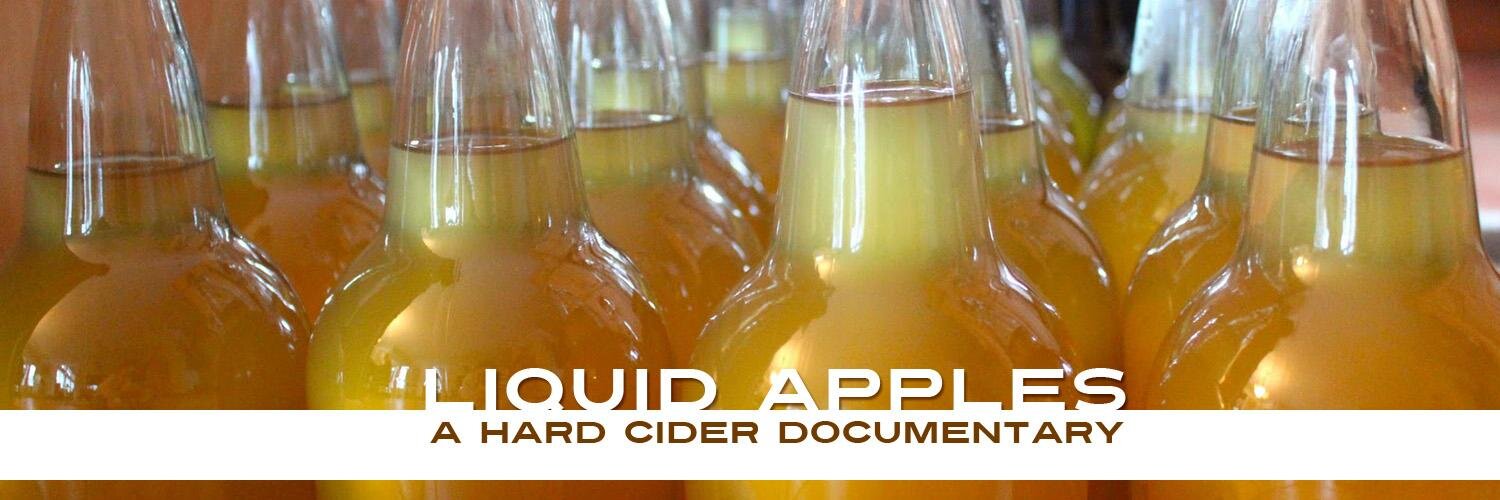 LiquidApplesDoc's profile banner image