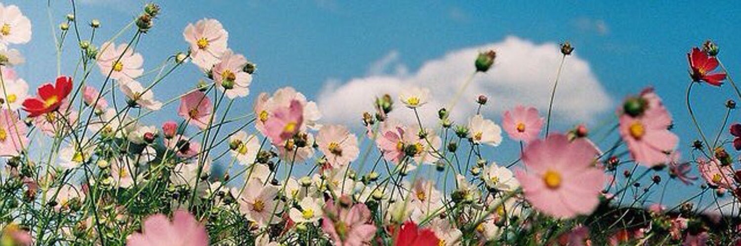 _RAWAN_'s profile banner image