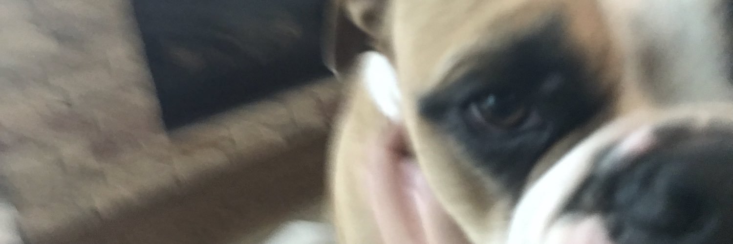 JoePascuzzi's profile banner image
