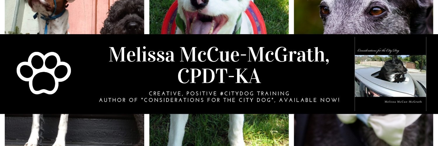 muttstuff's profile banner image