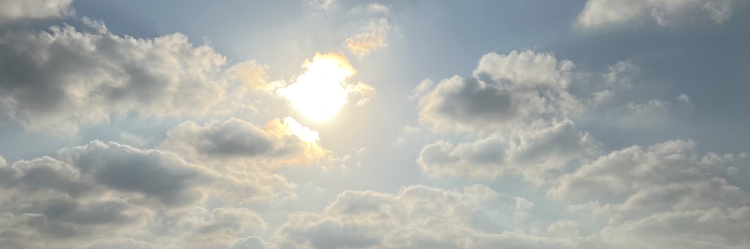allymedrano's profile banner image