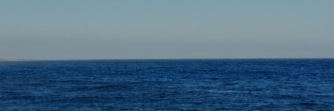 _rocioarevalo's profile banner image
