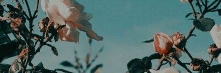 nanalorr's profile banner image