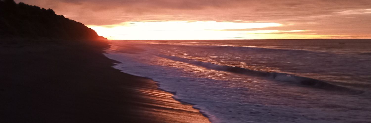 tedd_winn's profile banner image