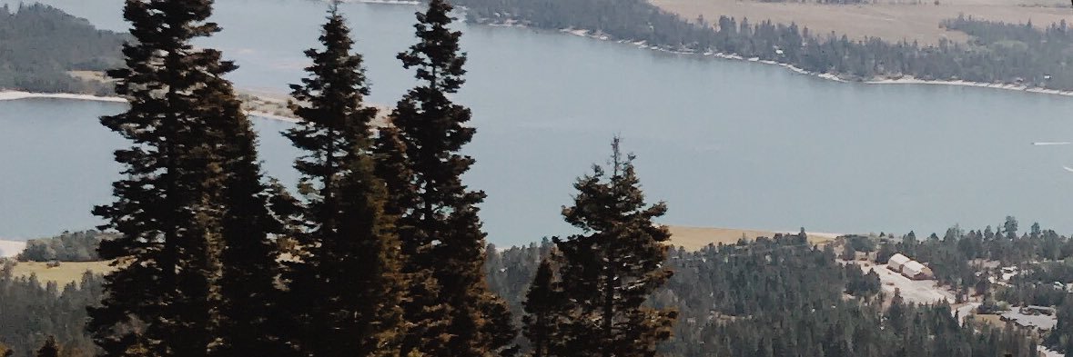 johansen_carly's profile banner image