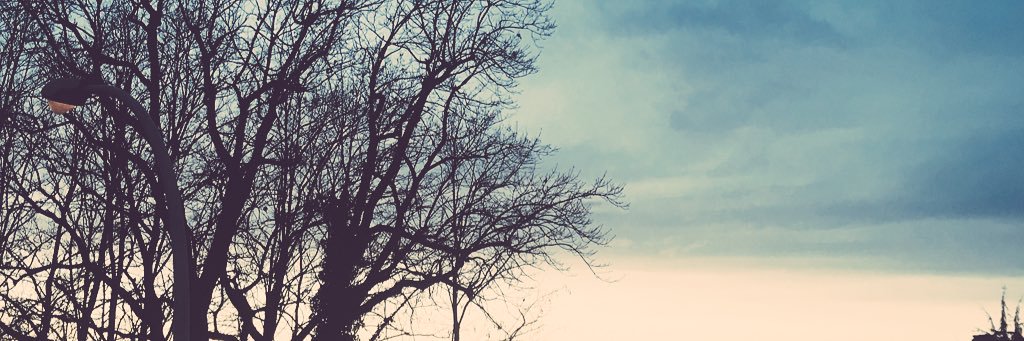 lorenzobonelli5's profile banner image