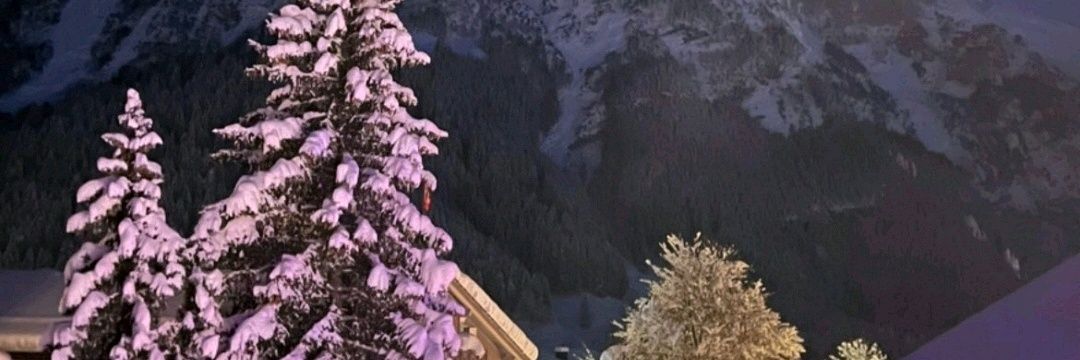 moxiemoshi's profile banner image