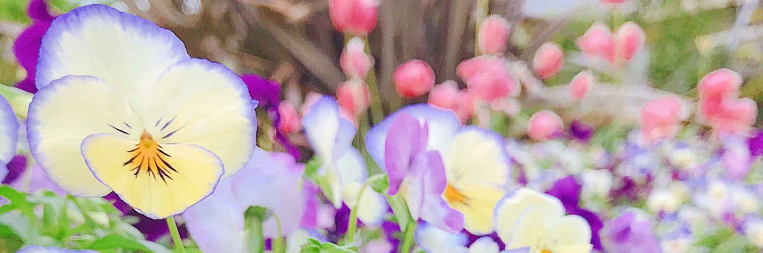 0815flowers's profile banner image