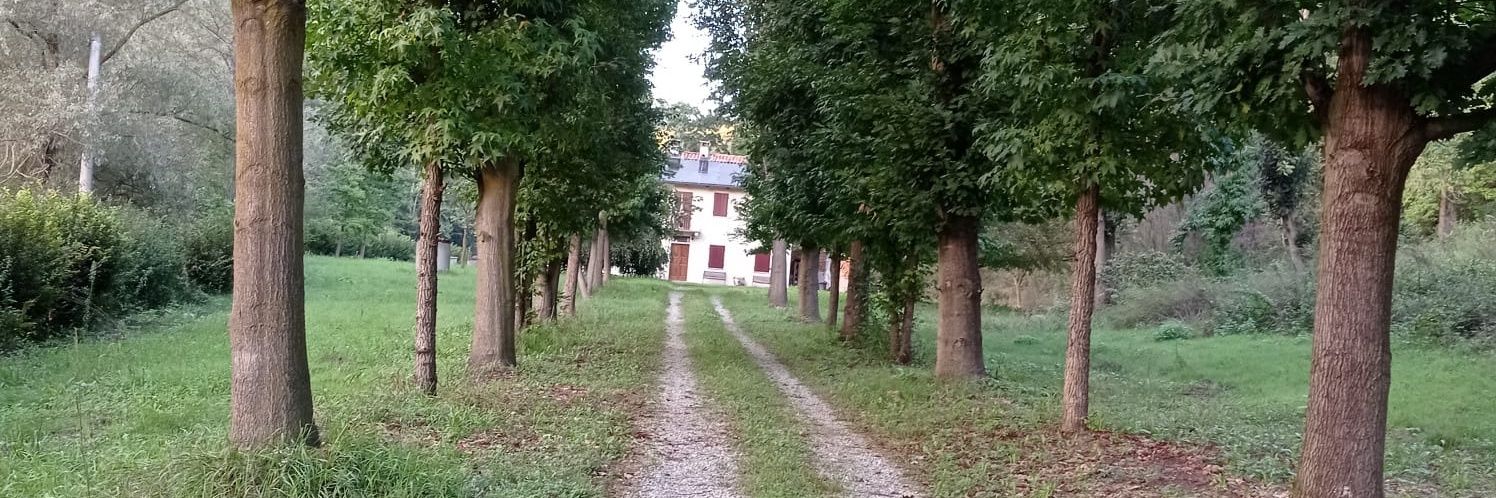 Daniele Gandolfi banner