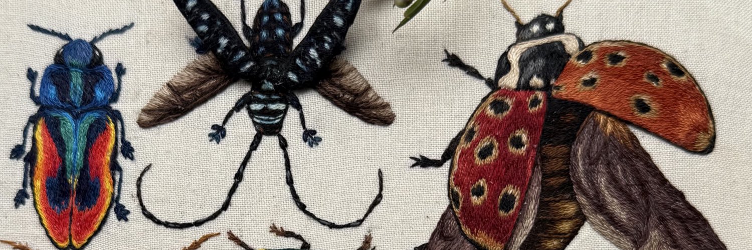 ✨ morgan ✨ banner