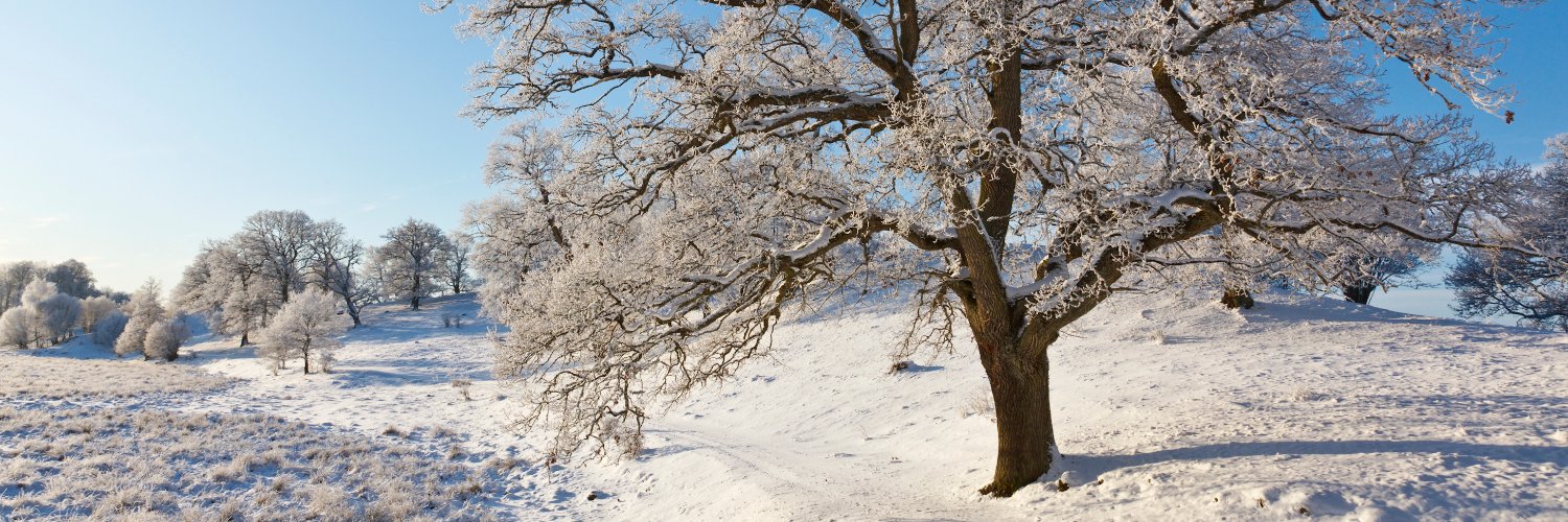 The National Forest banner