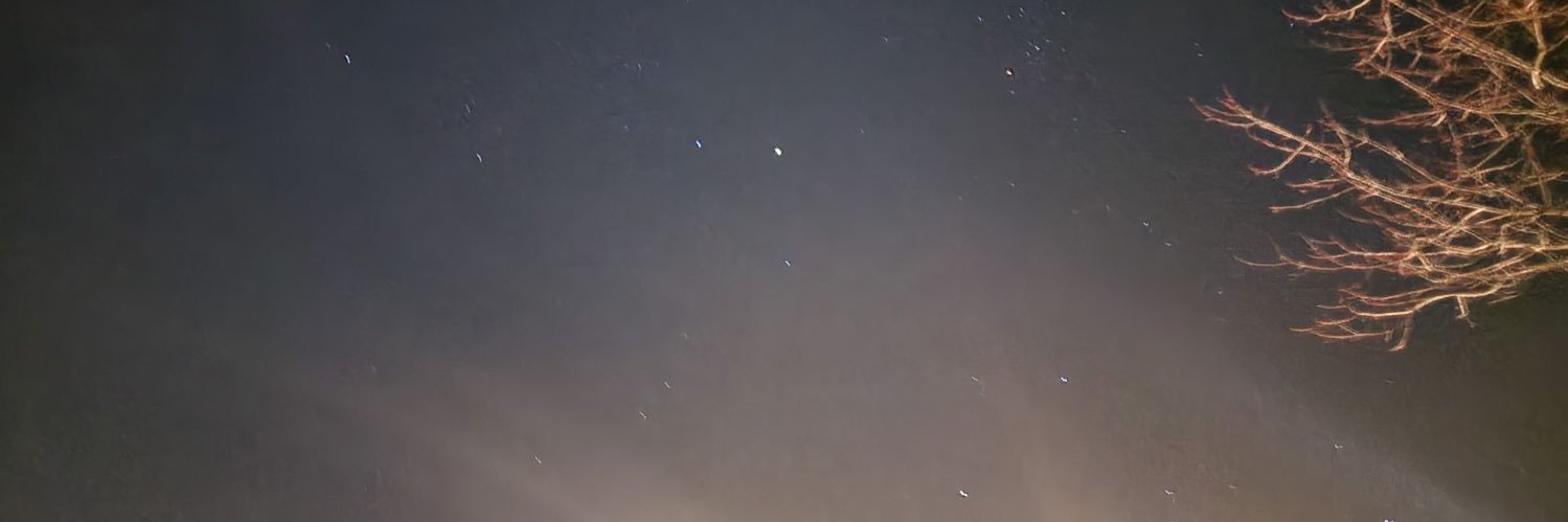 LibbyyLibby's profile banner image