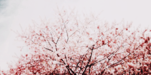 PrincessL___'s profile banner image