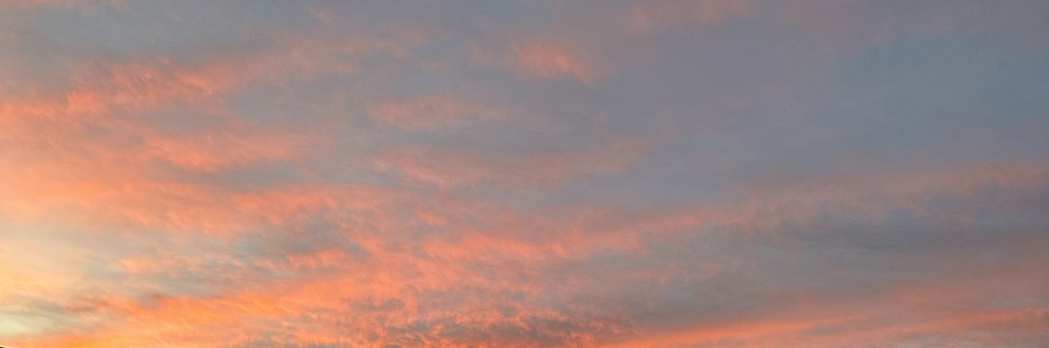 SmolCorgiAngel's profile banner image