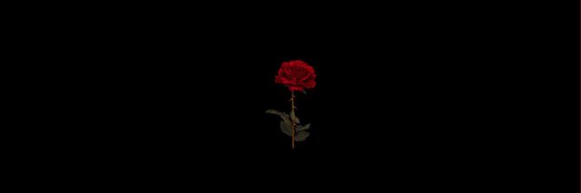 GillianReign's profile banner image